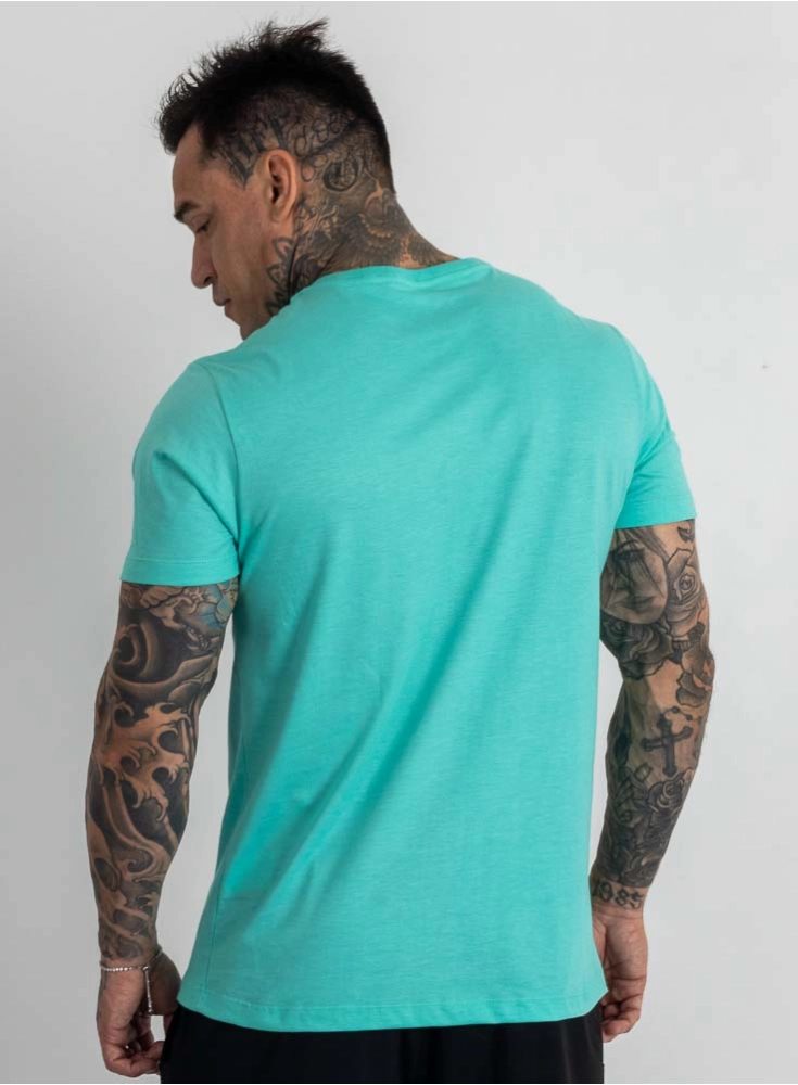 Camiseta Crown Training Minimalist Mescla Teos