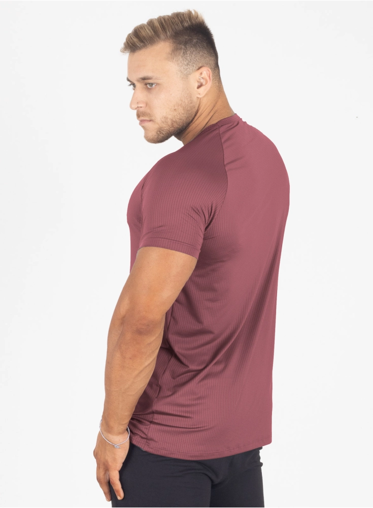 Camiseta Crown Dry Fit ice Raio Bordô