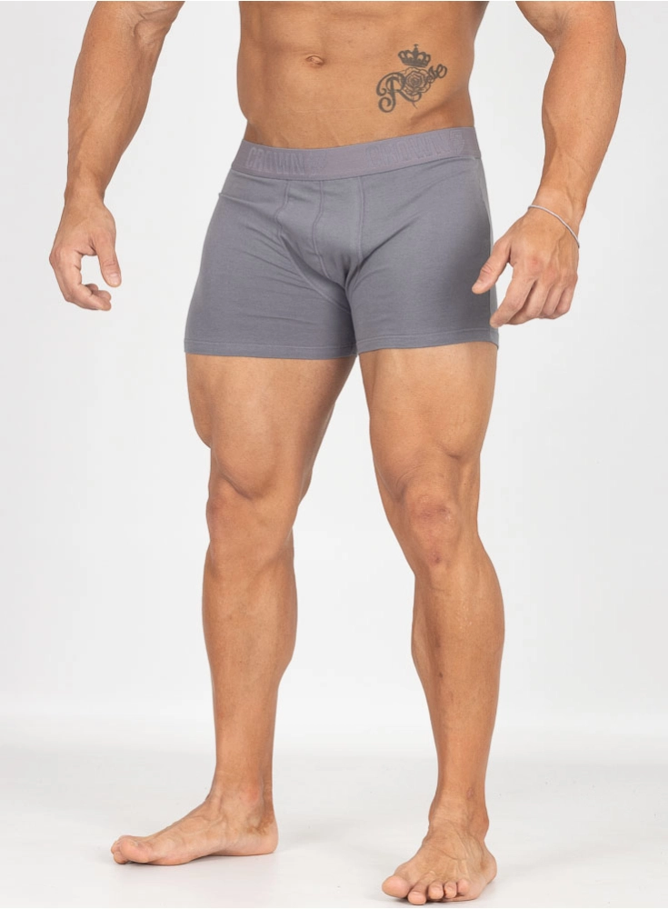 Cueca Premium Crown Training Grafite