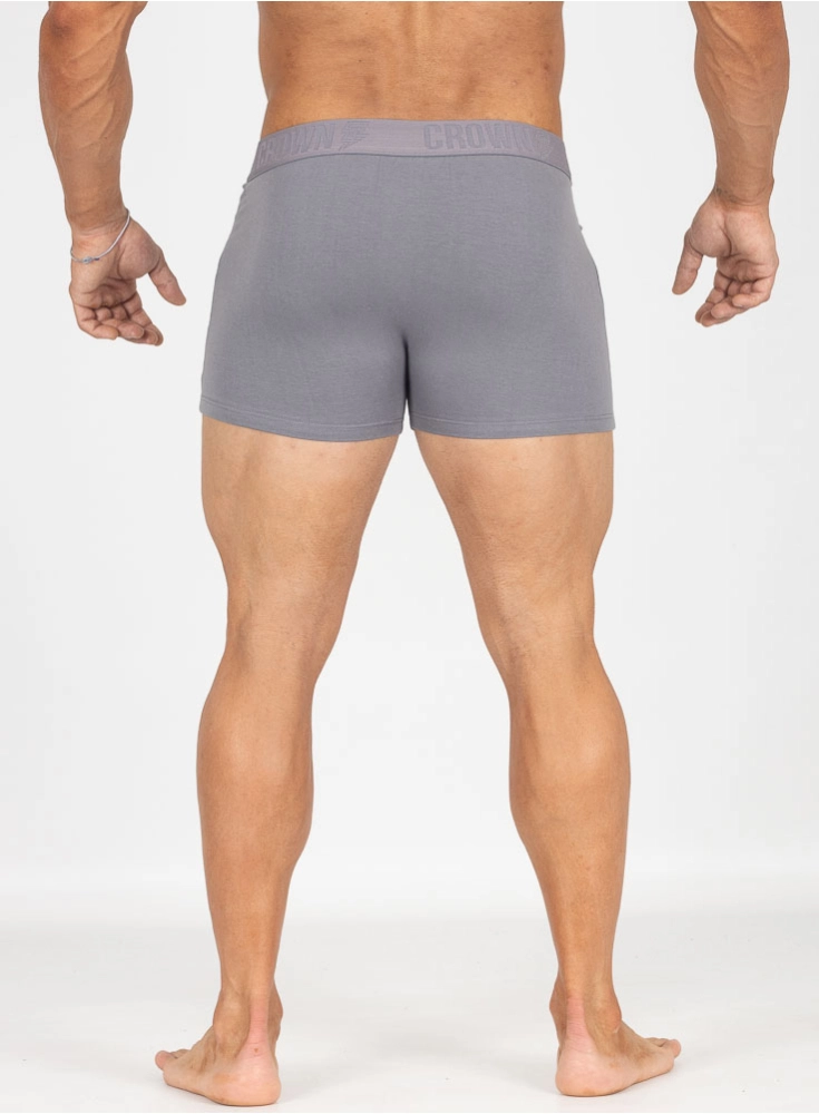 Cueca Premium Crown Training Grafite