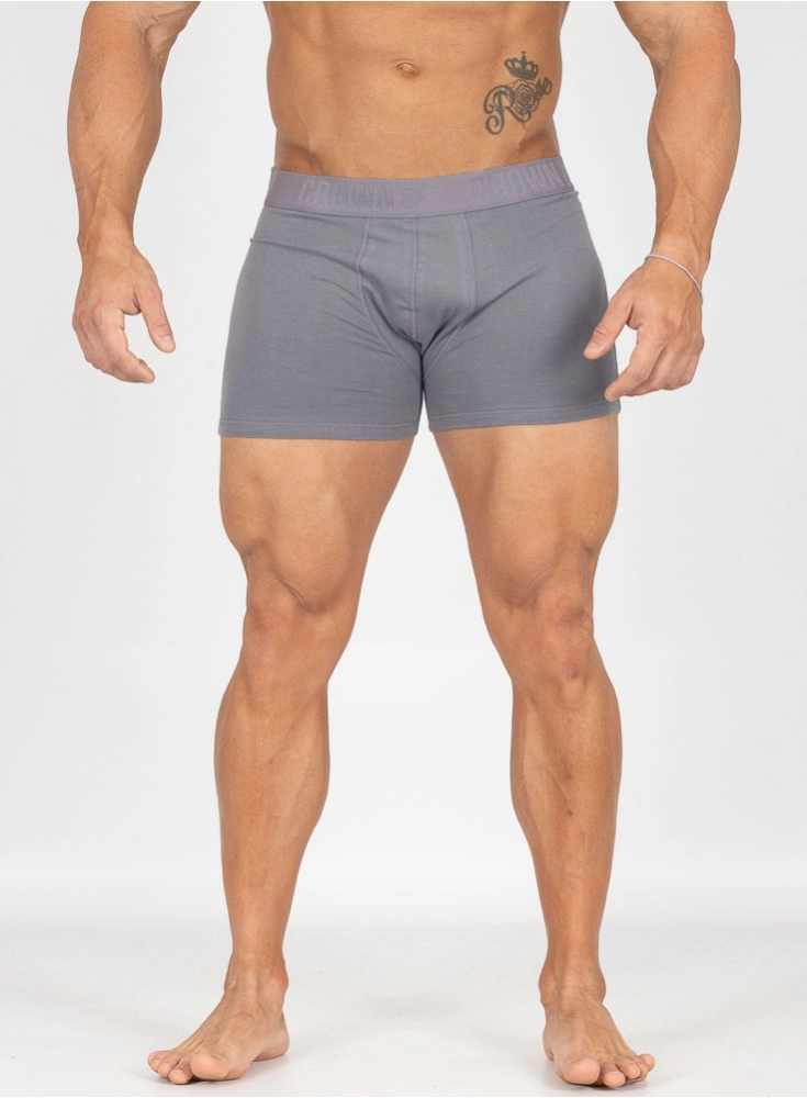 Cueca Premium Crown Training Grafite