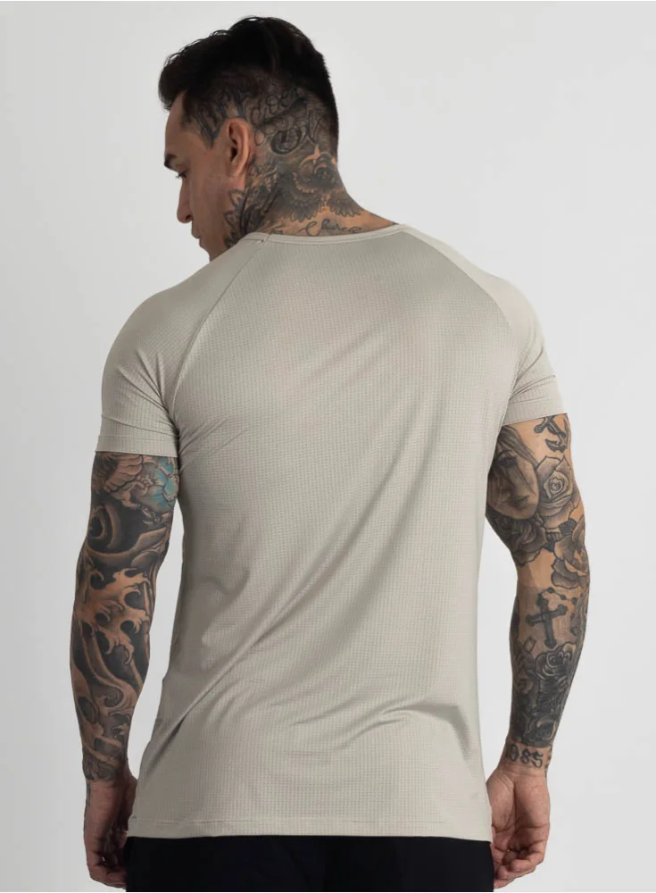 Camiseta Crown Dry Fit ice Logo Chalk