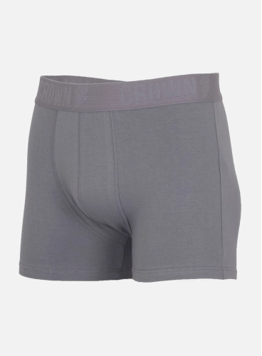 Cueca Premium Crown Training Grafite Produto Cueca Premium Crown Training Grafite