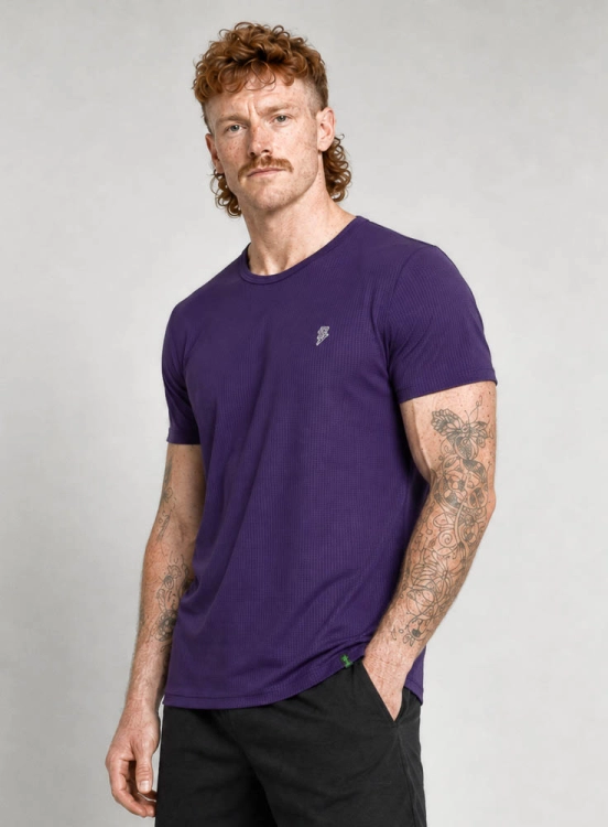 Produto Camiseta Crown Polytech Mini Logo Roxa