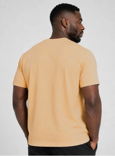 Camiseta Crown Training Bege Produto Camiseta Crown Training Bege