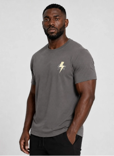 Camiseta Crown Training Raio Grafite Produto Camiseta Crown Training Raio Grafite