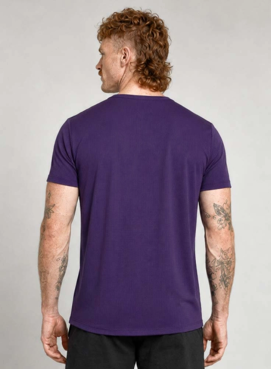 Produto Camiseta Crown Polytech Mini Logo Roxa